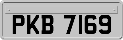 PKB7169