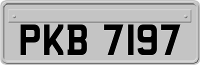 PKB7197