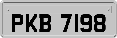 PKB7198
