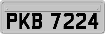 PKB7224