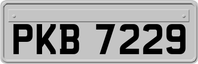 PKB7229