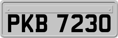 PKB7230