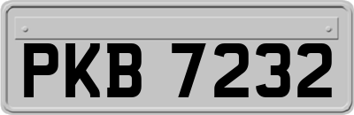 PKB7232