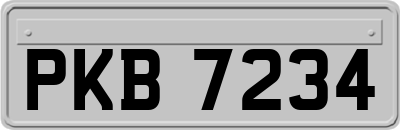 PKB7234