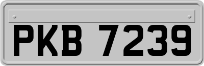PKB7239