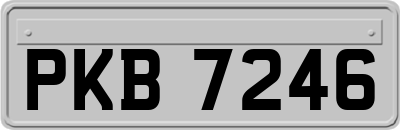PKB7246