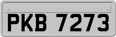 PKB7273