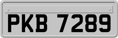 PKB7289