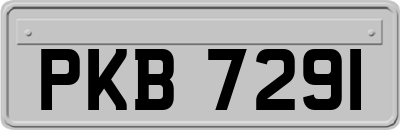 PKB7291