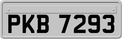 PKB7293