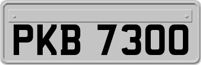 PKB7300
