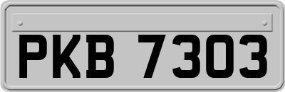 PKB7303
