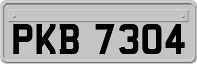 PKB7304