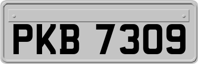 PKB7309