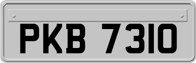 PKB7310