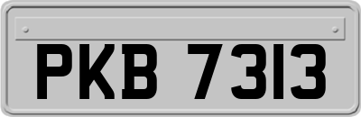 PKB7313