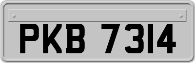 PKB7314