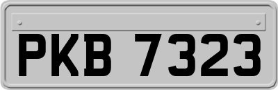 PKB7323