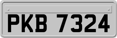 PKB7324