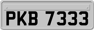 PKB7333
