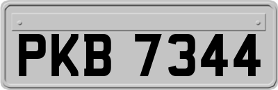 PKB7344