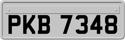 PKB7348