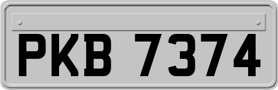 PKB7374