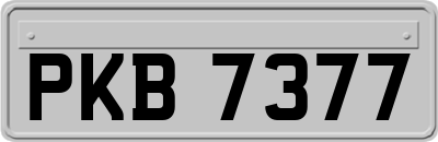 PKB7377