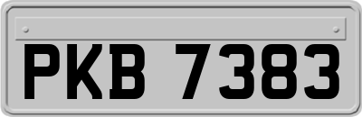 PKB7383