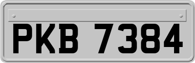 PKB7384