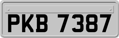 PKB7387