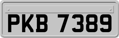 PKB7389