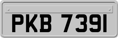 PKB7391