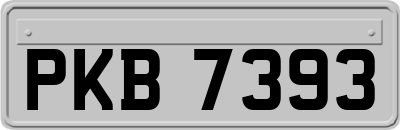 PKB7393