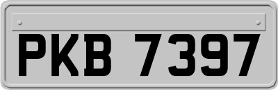 PKB7397