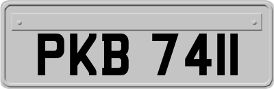 PKB7411