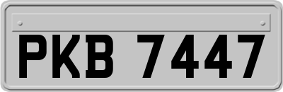 PKB7447