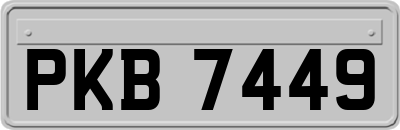 PKB7449