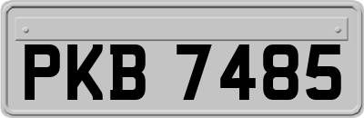 PKB7485