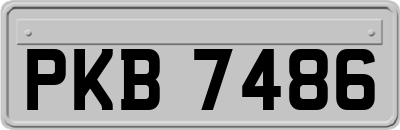 PKB7486