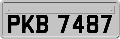 PKB7487