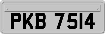 PKB7514