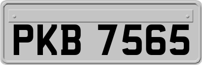 PKB7565
