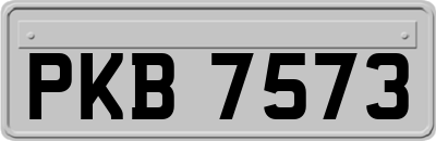 PKB7573