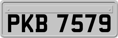 PKB7579