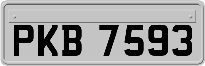 PKB7593