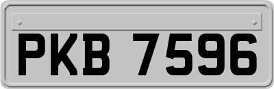 PKB7596