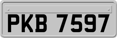 PKB7597