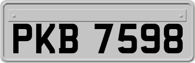 PKB7598