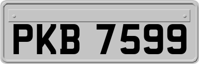 PKB7599